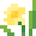 Daffodil