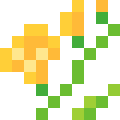 Freesia