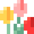 Tulip