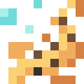 Epaulette Shark