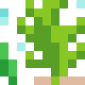 Seaweed