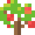 Apple Tree
