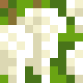 Black Locust