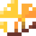 Ginkgo