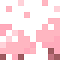 Cherry Blossom