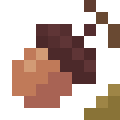 Acorn