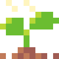 Sprout
