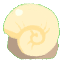 Ammonite Fossil